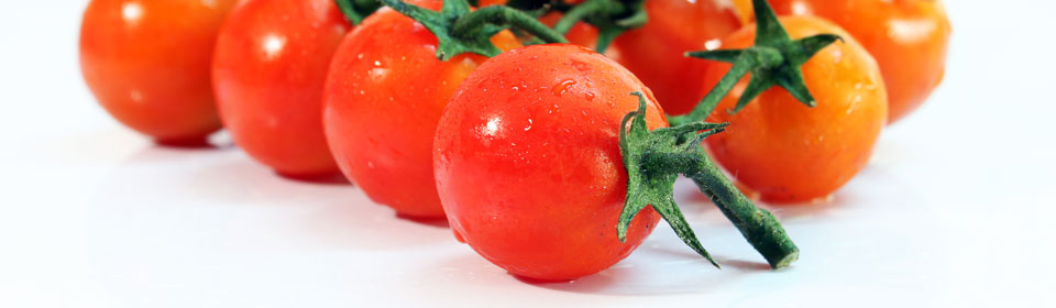 信息轰炸在线使用免费