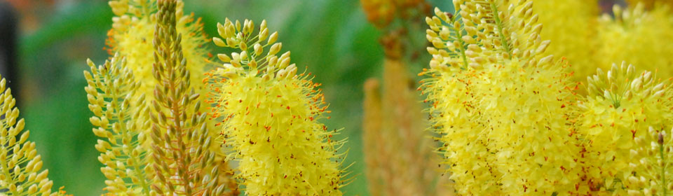 智能学习进步的云呼网页版